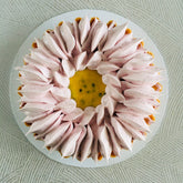 Passion Meringue Tart